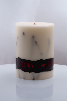 Ароматическая свеча “URBI&amp;ORBI BURNOUT — ЛЕСНЫЕ ЯГОДЫ” 6ОО мл (061230)